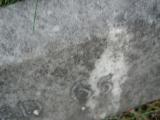 image of grave number 50563